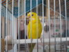 20190406_144218.jpg