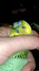 2019-04-07-375.jpg