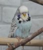 IMG_9815.JPG
