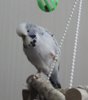 IMG_0057.JPG