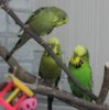 IMG_0021.JPG