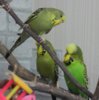 IMG_0022.JPG