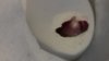 20190409_171929.jpg