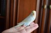 DSC_7456.JPG