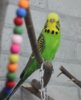 IMG_0209.JPG