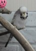 IMG_0329.JPG