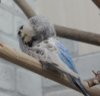 IMG_0453.JPG