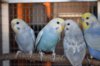 DSC_7513.JPG