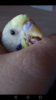 Screenshot_20190417-160916.png