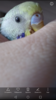 Screenshot_20190417-160902.png