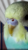Screenshot_20190417-160848.png