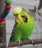 IMG_0887.JPG