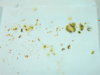 DSCN6883.JPG