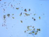 DSCN6886.JPG