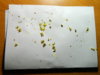 DSCN6888.JPG