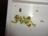 DSC02583.JPG