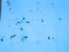 DSCN6906.JPG