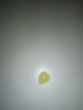 IMG_2016-01-13_193621.jpg