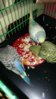 20160113_165813.jpg