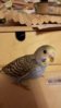 20160113_174513.jpg