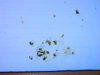 DSCN6912.JPG