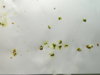 DSCN6914.JPG