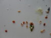 DSC02593.JPG