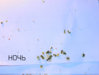 DSCN6918.jpg