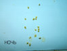 DSCN6925.jpg