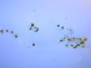 DSCN6930.JPG