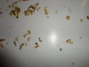 DSC02598.JPG