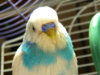 DSCN6938.JPG