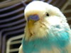DSCN6945.JPG
