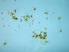 DSCN6949.JPG