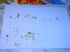 DSCN6956.JPG
