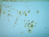 DSCN6963.JPG