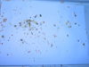 DSCN6970.JPG