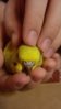 20160121_215813.jpg