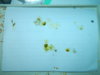 DSCN6977.JPG