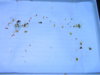 DSCN6990.JPG