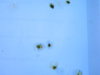 DSCN6998.JPG