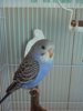 IMG_20160120_161802.jpg
