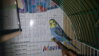 20160126_153501.jpg
