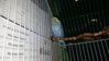 20160126_153647.jpg