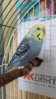 20160127_145311.jpg