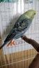 20160127_145332.jpg