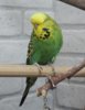 IMG_1044.JPG
