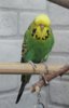IMG_1045.JPG