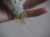 _4240070.jpg