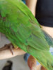 IMG_20190424_064347.jpg